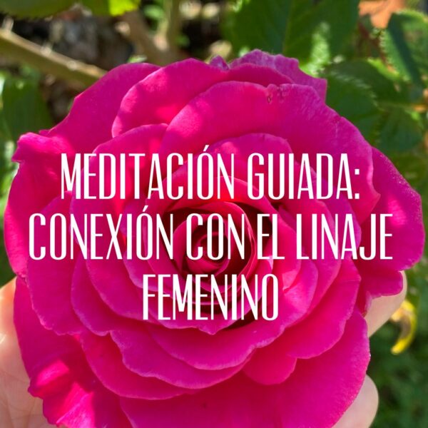 Meditación guiada